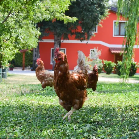 Agriturismo Ca' La Pergola-2